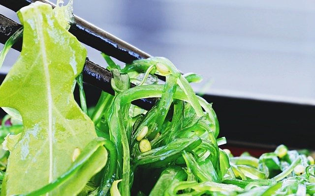 Seaweed 