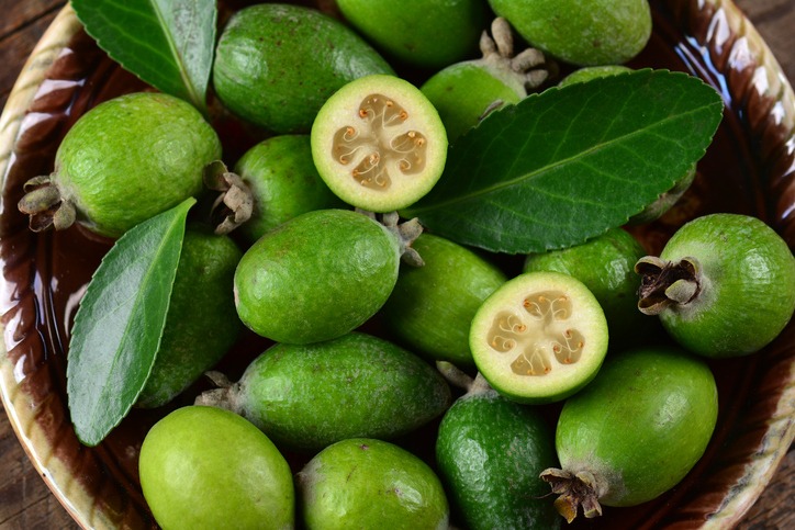 Feijoa 