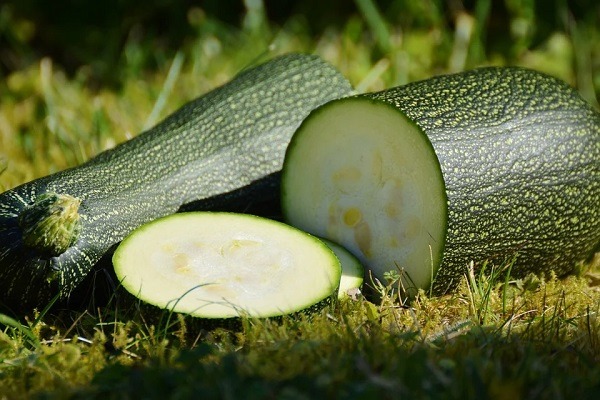 fresh zucchini