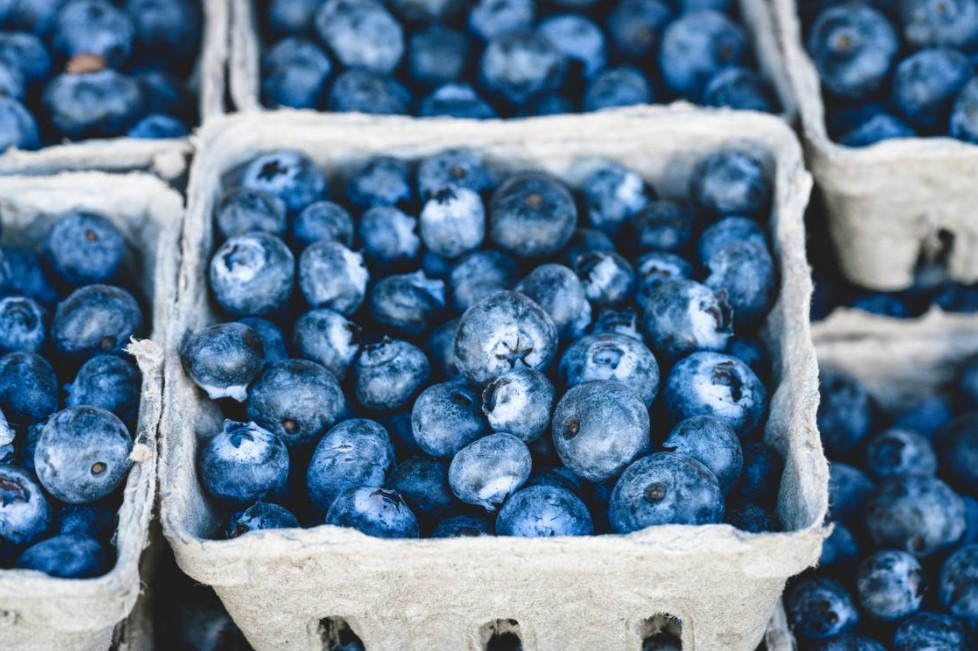 lots of blueberries