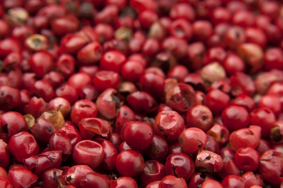 lots of goji berries