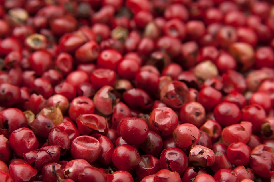 red goji berries