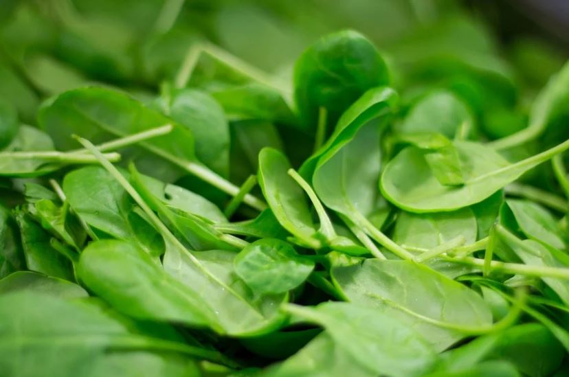 How to Juice Spinach