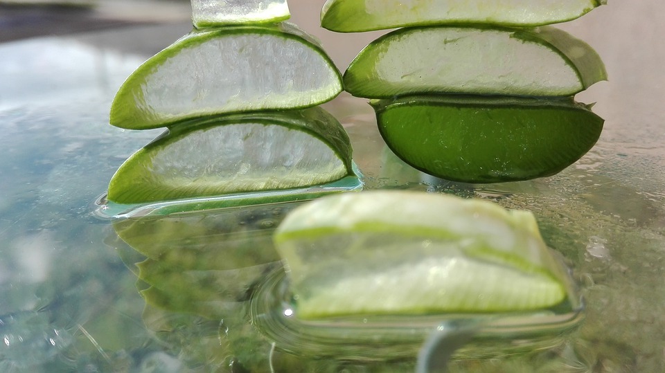 Benefits of Aloe Vera