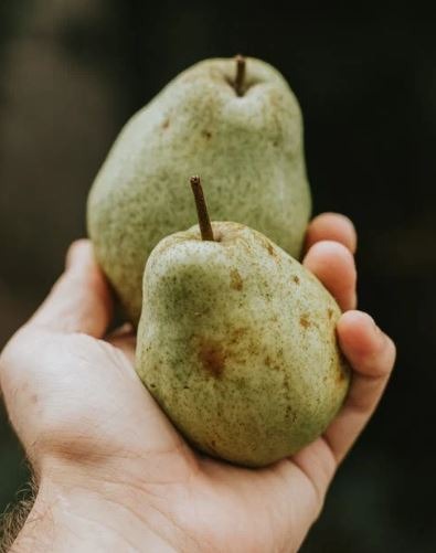 Pear Juice