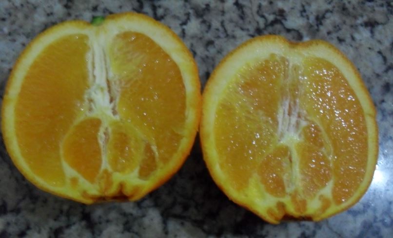 Navel Oranges