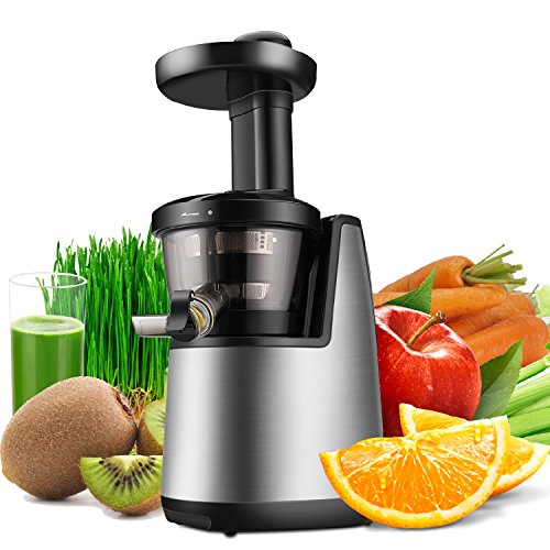 Flexzion Cold Press Juicer Machine – Masticating Juicer Slow Juice Extractor Maker Electric Juicing Vertical Stand for Fruit, Vegetable, Greens, Wheat Grass & More with Big Cup & Juicing Bowl