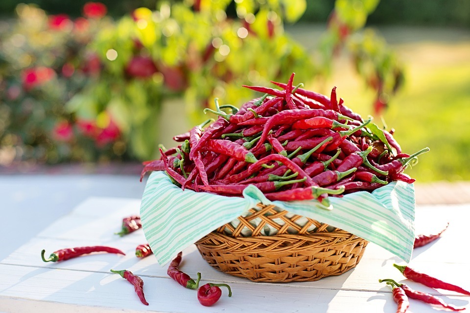 chili peppers in a basket
