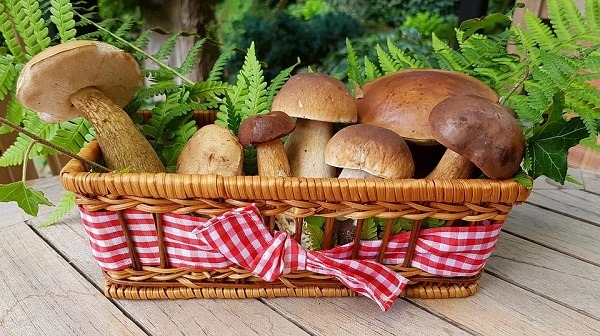 fresh mushrooms in a basket on a wooden table
