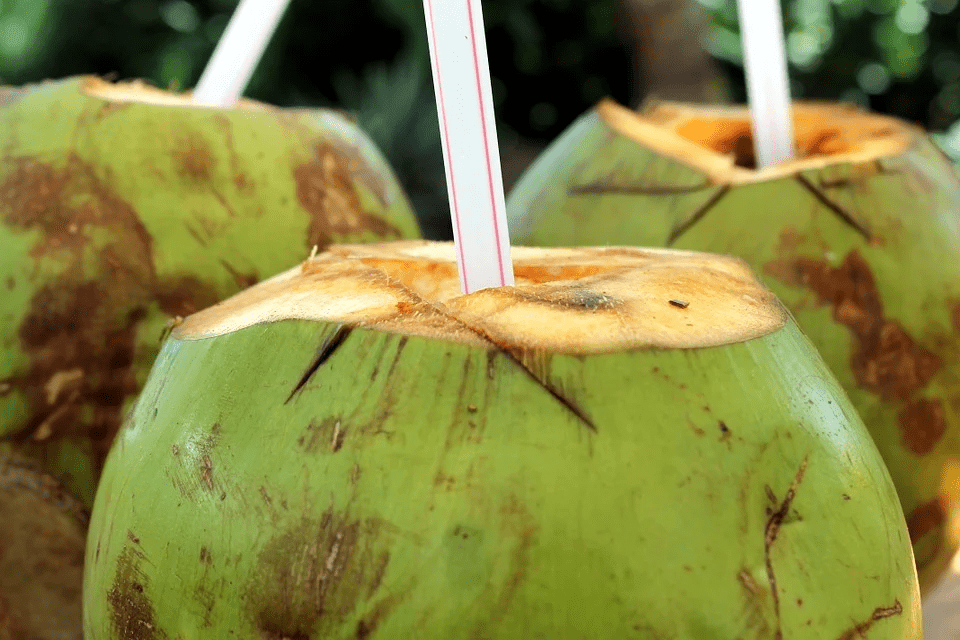 fresh coconuts with straws