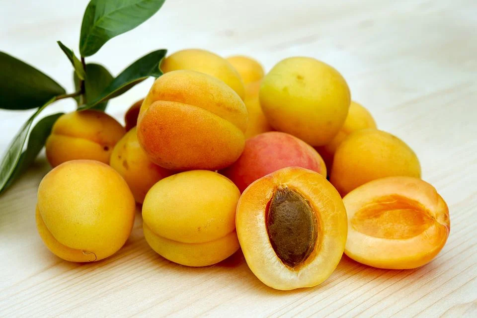 3 Incredible Health Benefits of Apricots